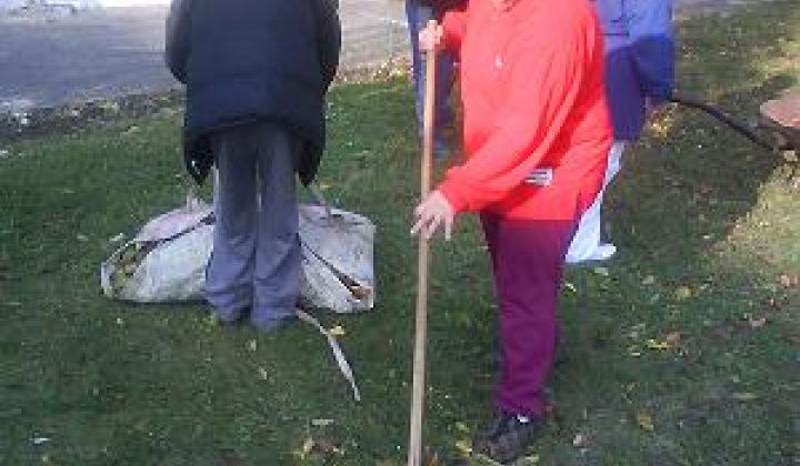 4. fotografia fotogalérie Úprava areálu - foto