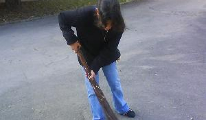 5. fotografia fotogalérie Úprava areálu - foto