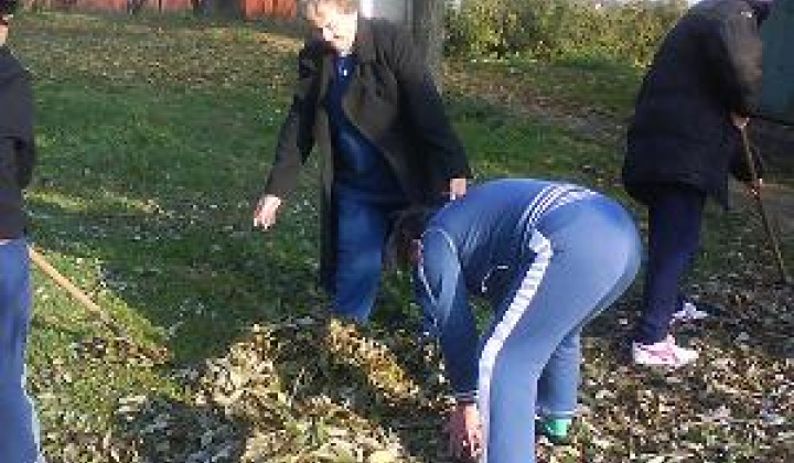 6. fotografia fotogalérie Úprava areálu - foto