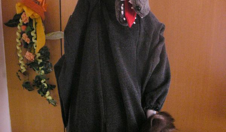 2. fotografia fotogalérie Katalog masiek - foto