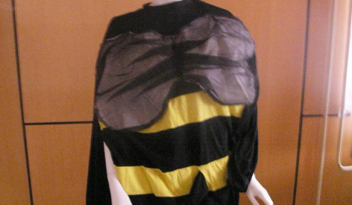 14. fotografia fotogalérie Katalog masiek - foto