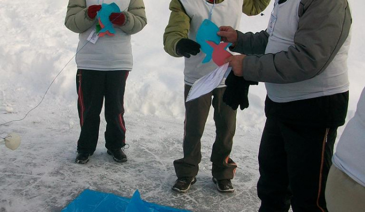 5. fotografia fotogalérie Blumiada 2010 - foto