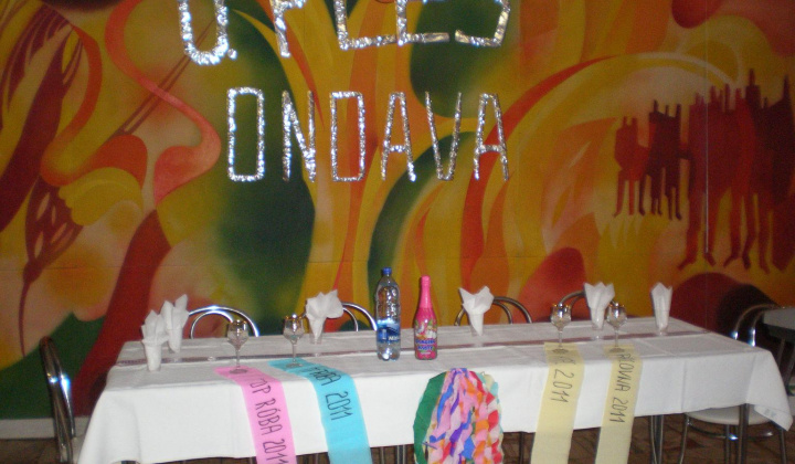 3. fotografia fotogalérie Fašiangový ples - foto