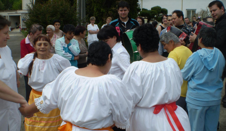 3. fotografia fotogalérie Majáles 2011 - foto