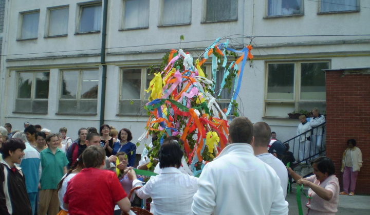 7. fotografia fotogalérie Majáles 2011 - foto