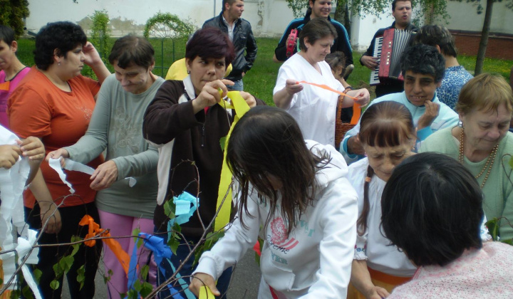 9. fotografia fotogalérie Majáles 2011 - foto