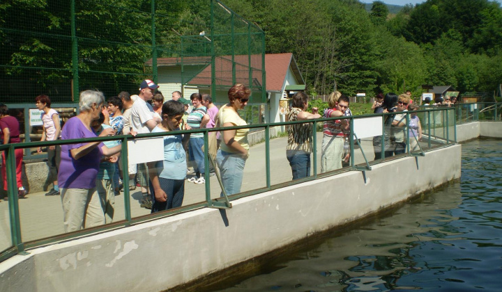 2. fotografia fotogalérie Návšteva ZOO Košice - foto