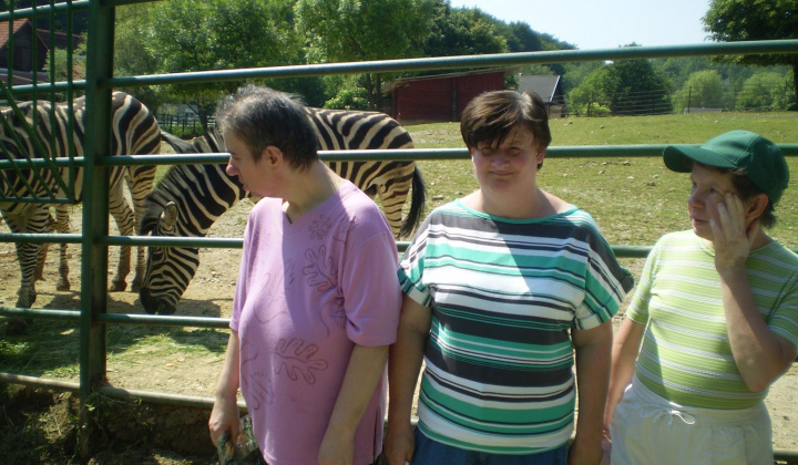 4. fotografia fotogalérie Návšteva ZOO Košice - foto