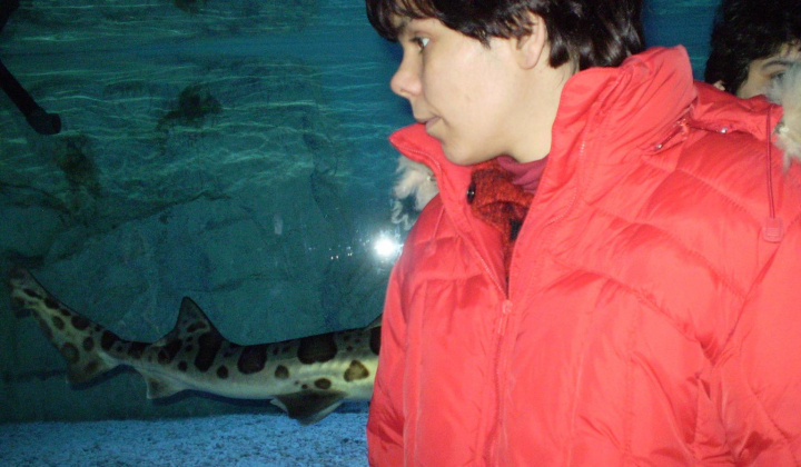 1. fotografia fotogalérie Návšteva žralokov - foto