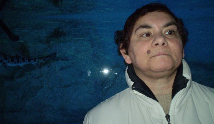 2. fotografia fotogalérie Návšteva žralokov - foto