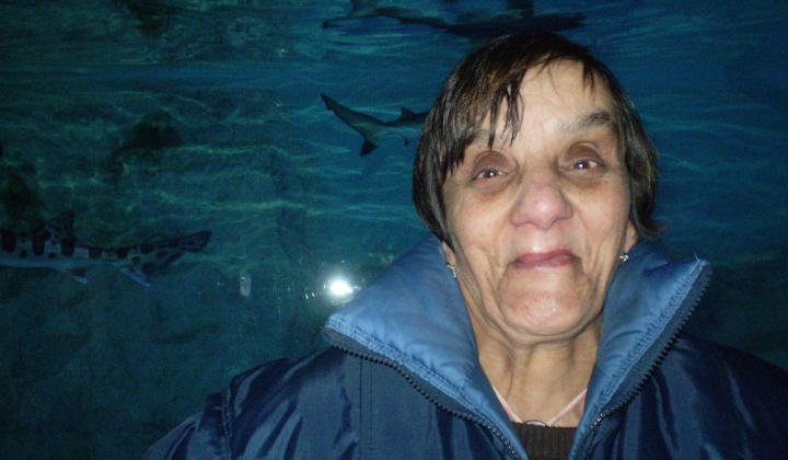 3. fotografia fotogalérie Návšteva žralokov - foto