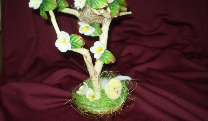 20. fotografia fotogalérie Jar prišla aj k nám - foto