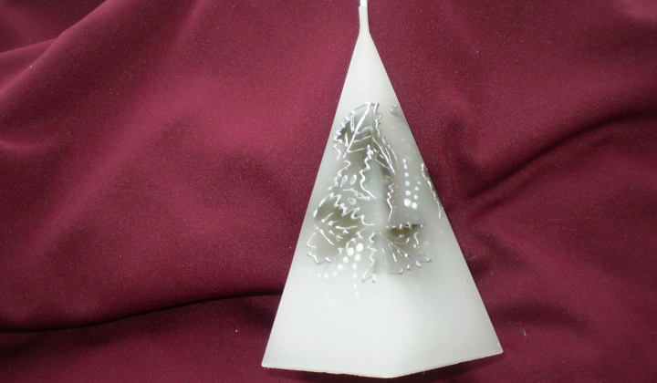 24. fotografia fotogalérie Jar prišla aj k nám - foto