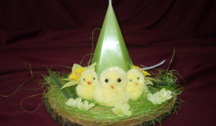 41. fotografia fotogalérie Jar prišla aj k nám - foto