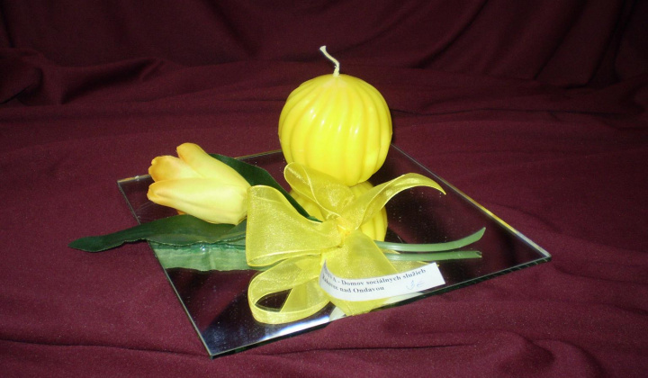 46. fotografia fotogalérie Jar prišla aj k nám - foto