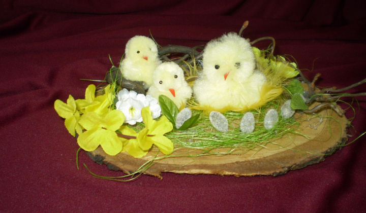 47. fotografia fotogalérie Jar prišla aj k nám - foto