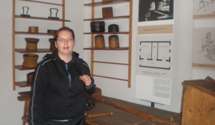 6. fotografia fotogalérie Jednodňový výlet Bardejov - foto