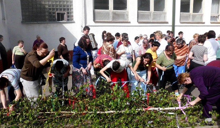 2. fotografia fotogalérie Stavanie mája a májová veselica - foto