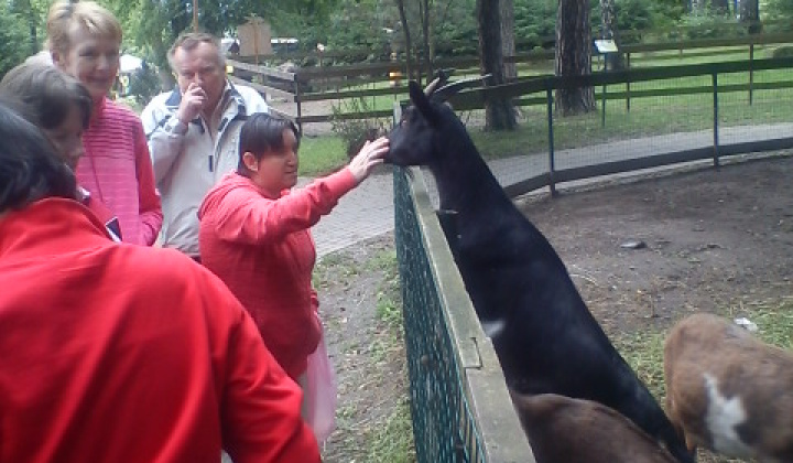 2. fotografia fotogalérie Jednodňový výlet - ZOO Spišská Nová Ves - foto