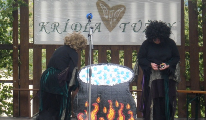 8. fotografia fotogalérie Festival kultúrnych činností - foto