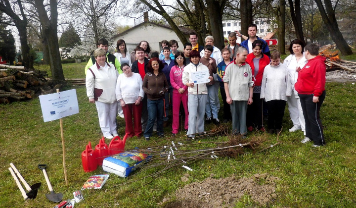 1. fotografia fotogalérie Bio ovocie pre zdravie - foto