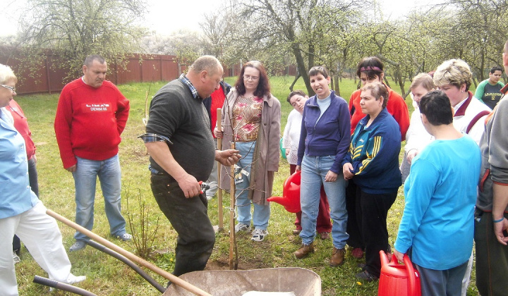4. fotografia fotogalérie Bio ovocie pre zdravie - foto