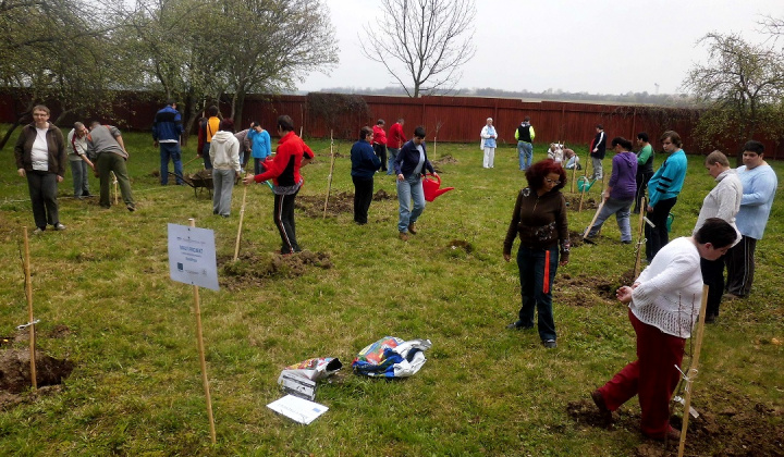 5. fotografia fotogalérie Bio ovocie pre zdravie - foto