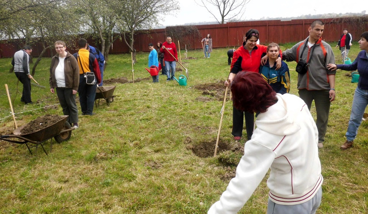 6. fotografia fotogalérie Bio ovocie pre zdravie - foto