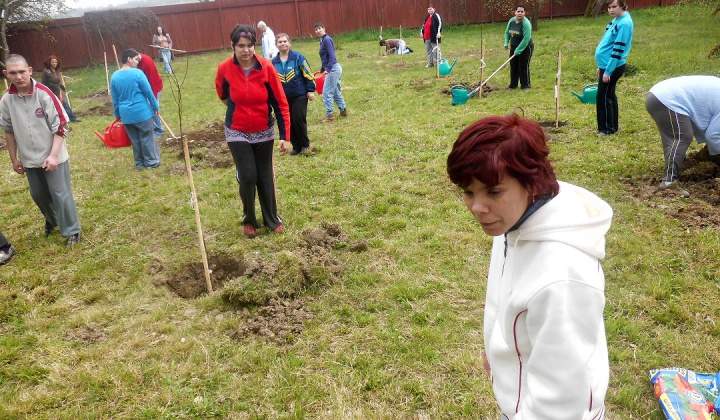 7. fotografia fotogalérie Bio ovocie pre zdravie - foto
