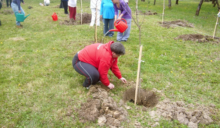 8. fotografia fotogalérie Bio ovocie pre zdravie - foto