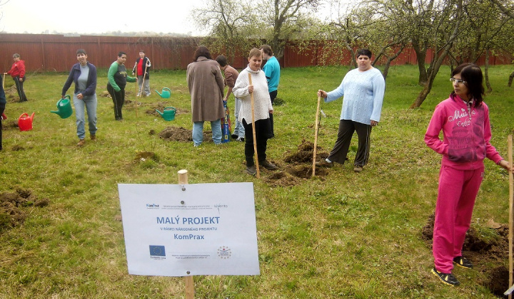 9. fotografia fotogalérie Bio ovocie pre zdravie - foto