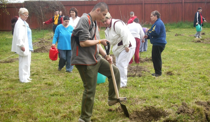 10. fotografia fotogalérie Bio ovocie pre zdravie - foto