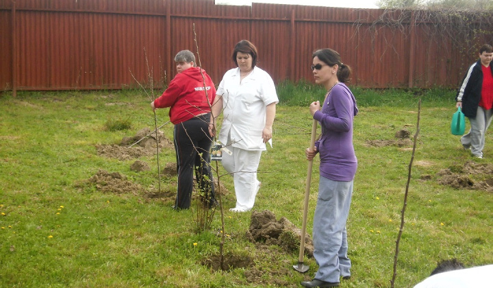 11. fotografia fotogalérie Bio ovocie pre zdravie - foto
