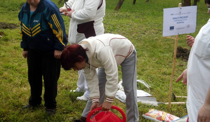 12. fotografia fotogalérie Bio ovocie pre zdravie - foto