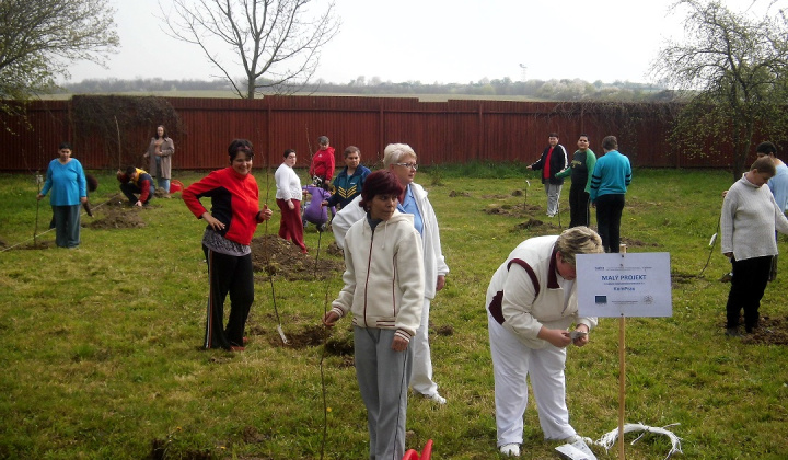13. fotografia fotogalérie Bio ovocie pre zdravie - foto