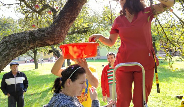 Fotka - Jablkový Lumeňák