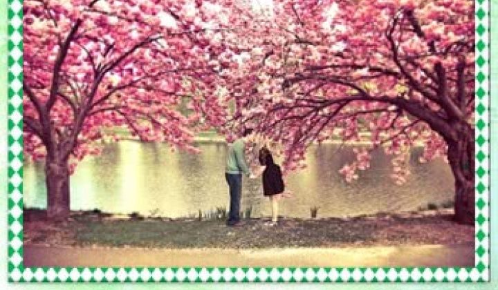 Fotka - Ročník 18, číslo 1/2025