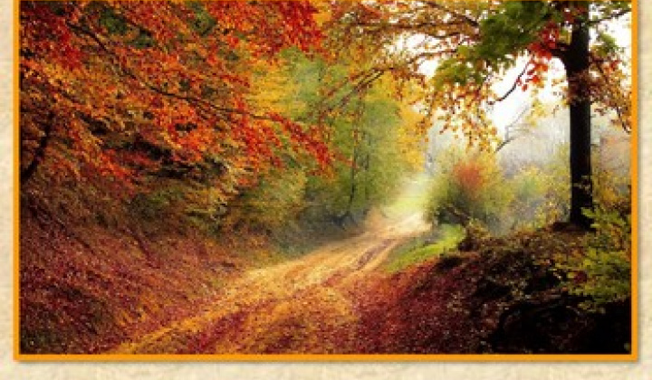 Fotka - Ročník 17, číslo 3/2024